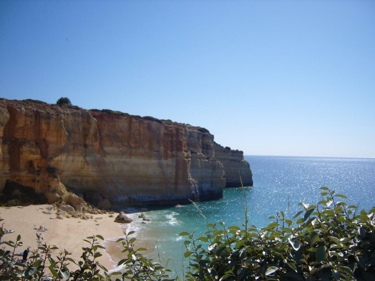 Quinta Do Pinheiro Manso - Holidays Villa - Marinha Beach Карвоейро Екстериор снимка