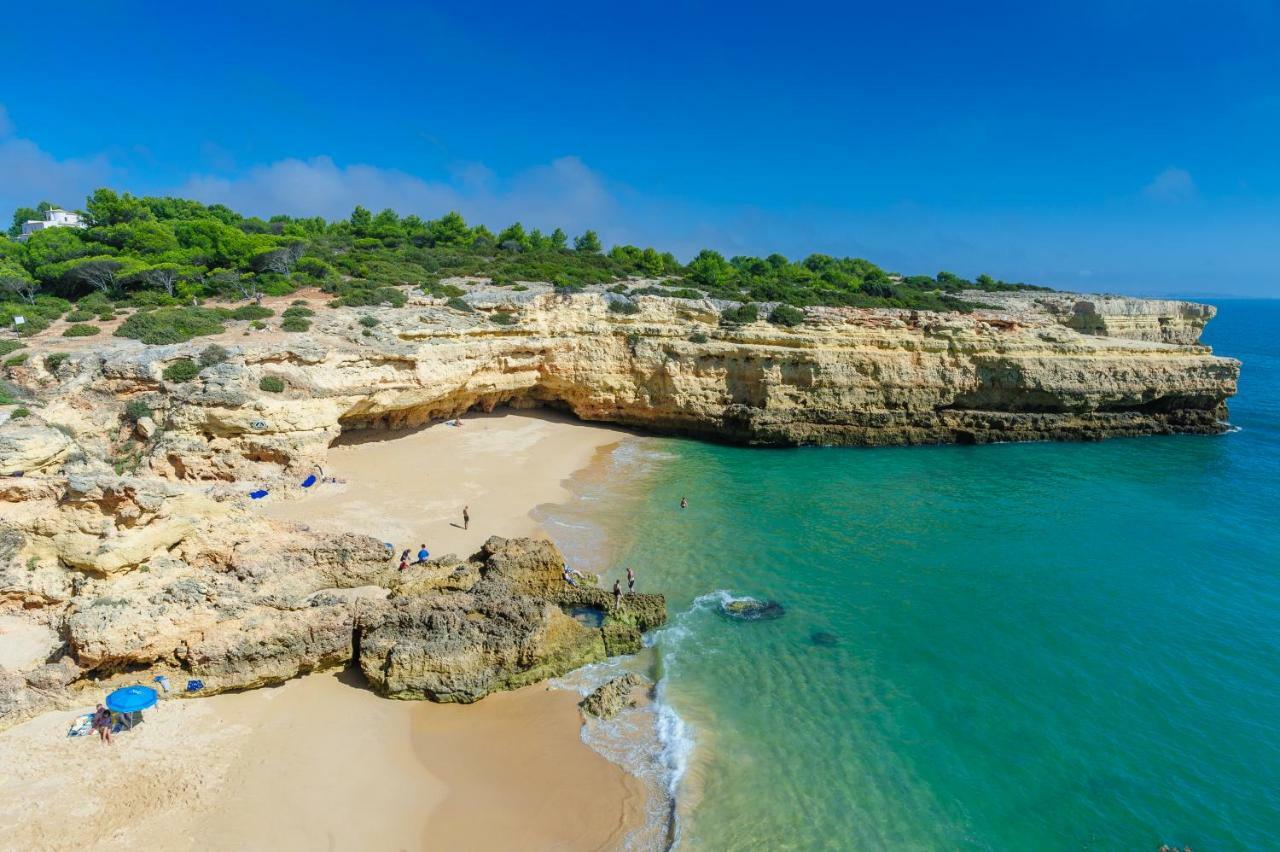 Quinta Do Pinheiro Manso - Holidays Villa - Marinha Beach Карвоейро Екстериор снимка